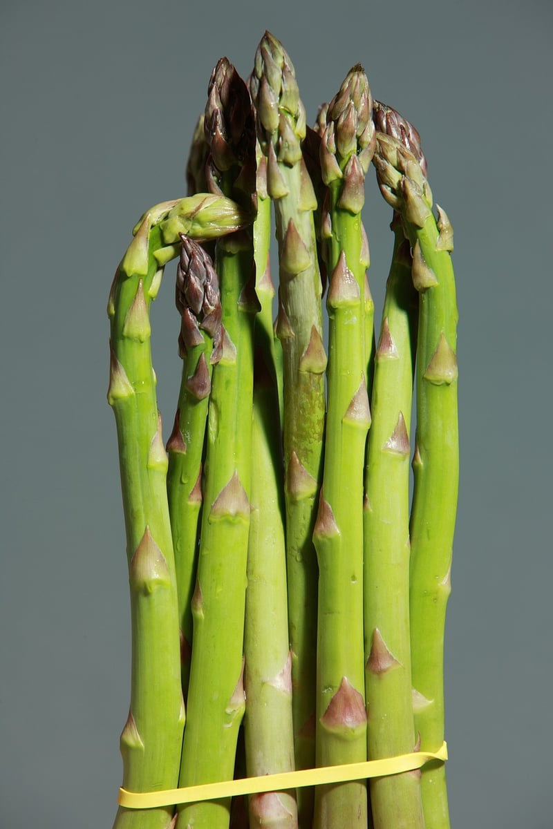 Healthy Cooking